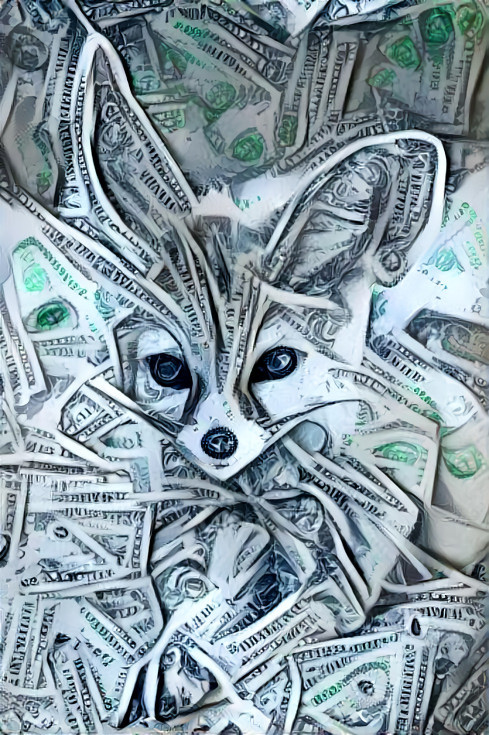 fennec fox - made of money