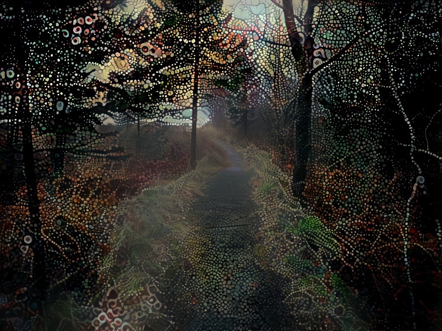 Pre-dawn Path. Inspired by Sanne and her Beautiful Panther https://deepdreamgenerator.com/ddream/hfq6bf9s68s . Source is my own photo.