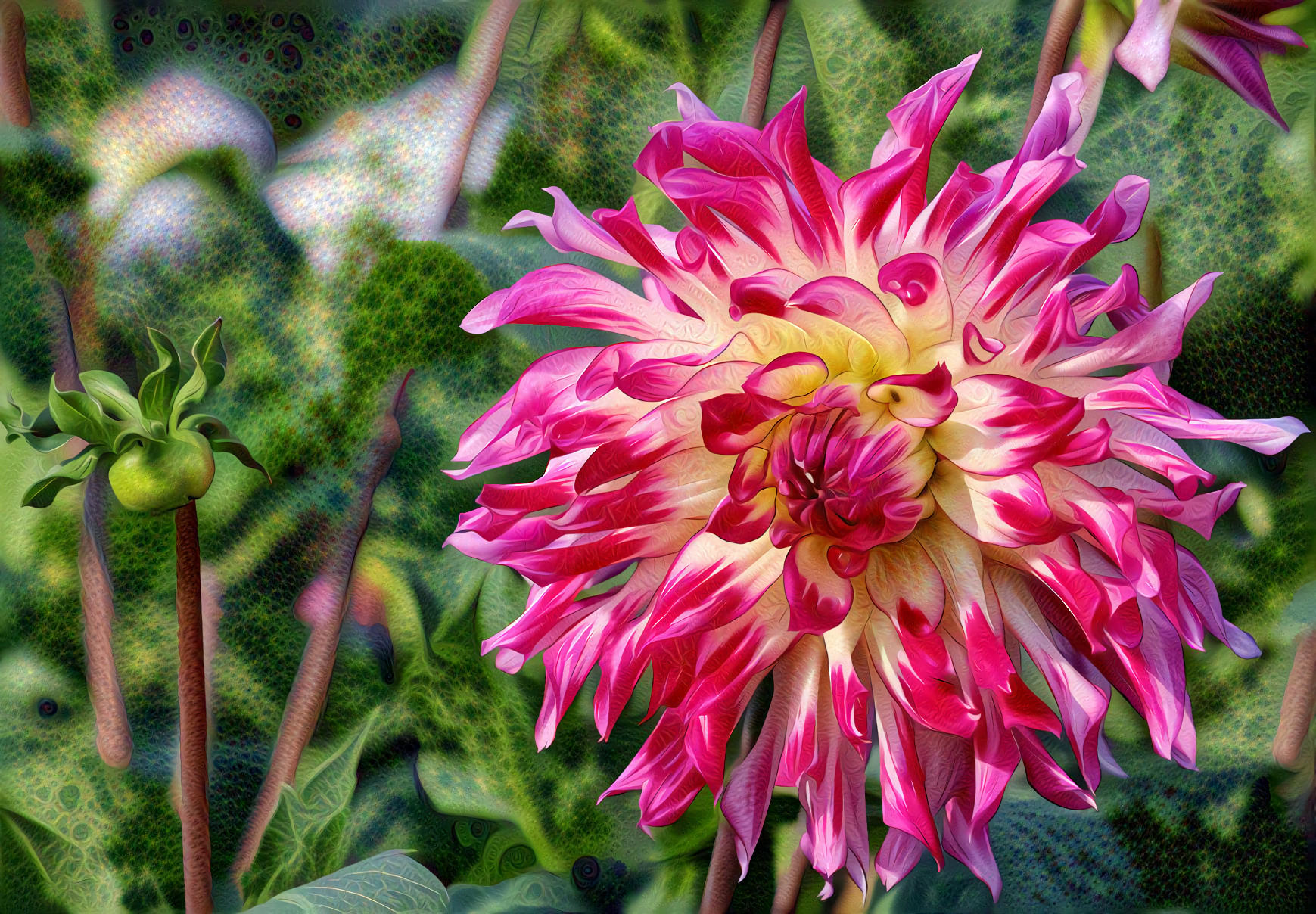 Aster Flower, Aster Bud