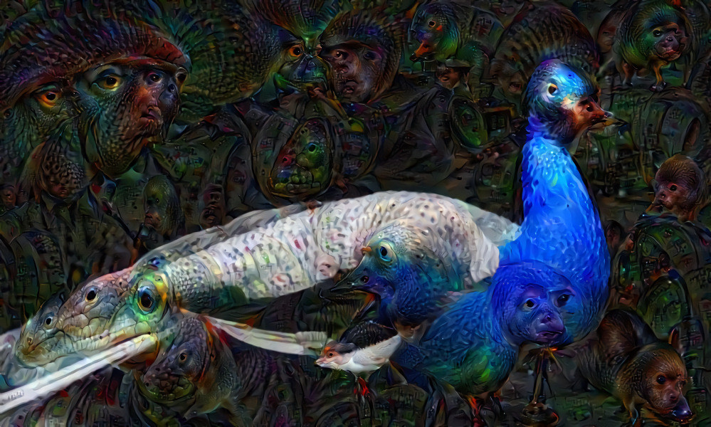 Mr. Peacock