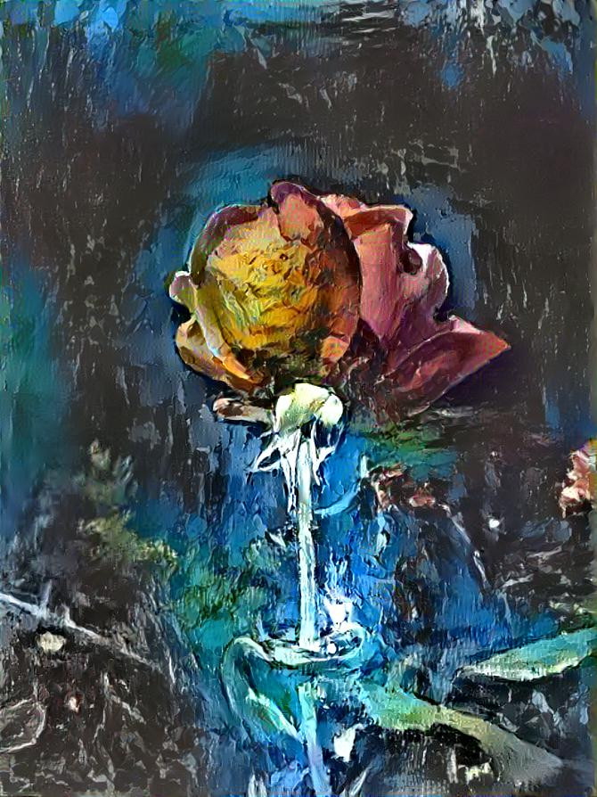 A Rose