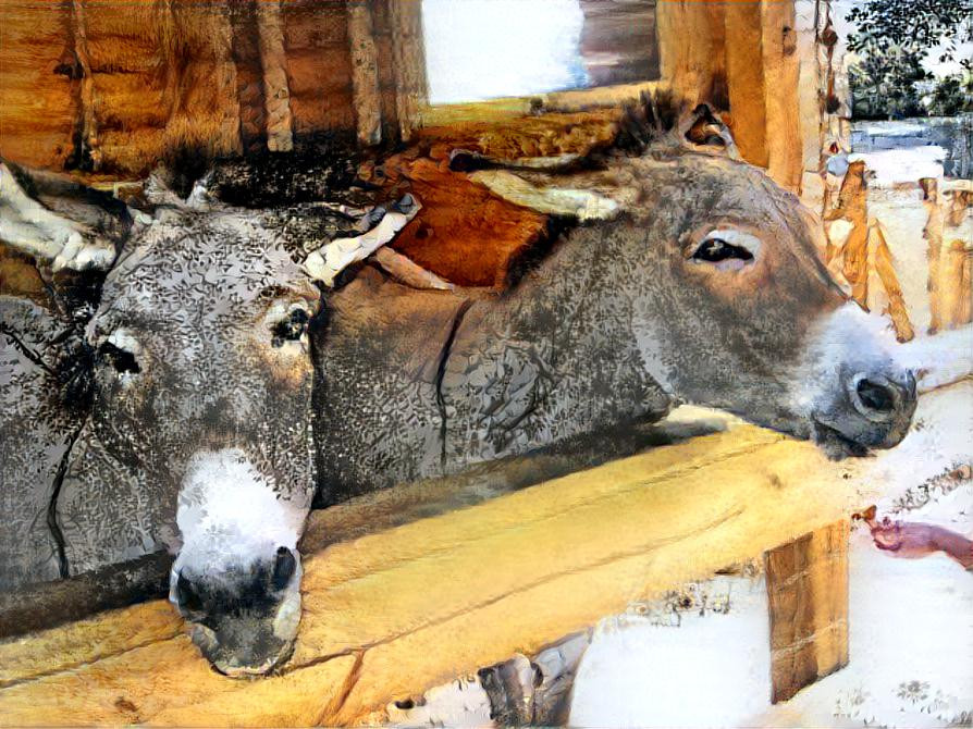 TWO DONKEYS