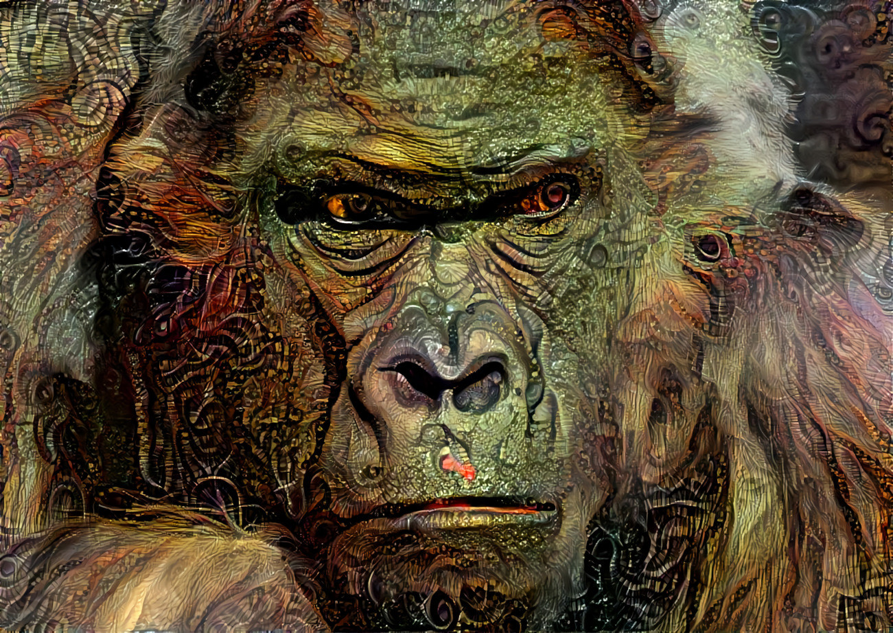 Gorilla 