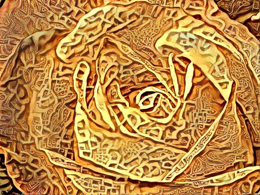 Rose abstract