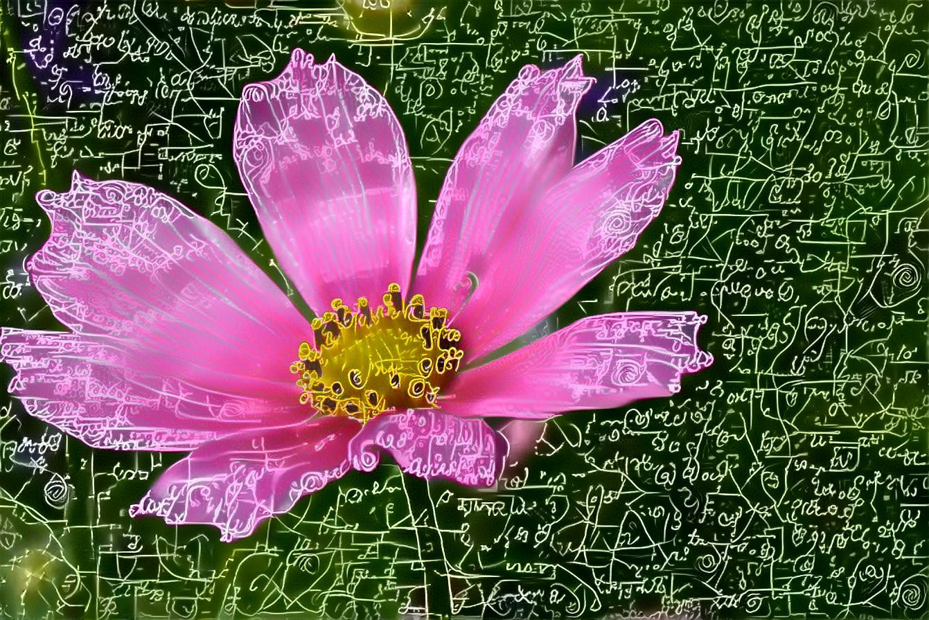 One Pink Flower and a lot of scribble marks.