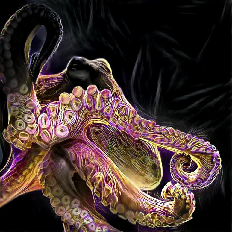 Octopus