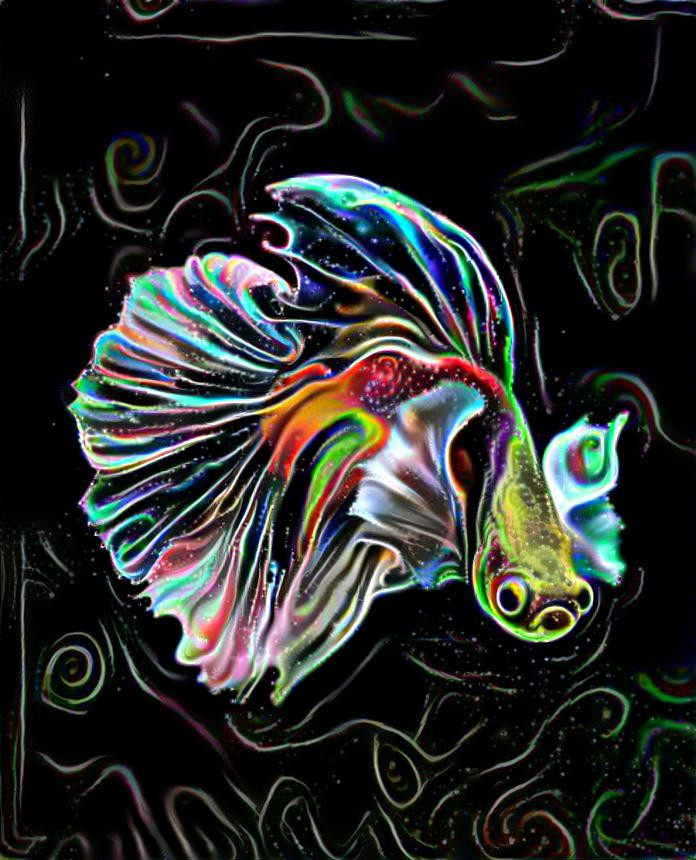 Fish