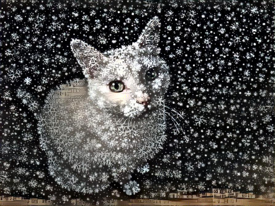 Snowball in a snowstorm