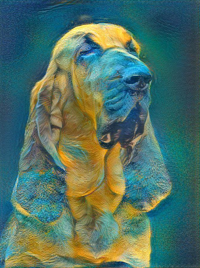 My bloodhound girl Carmen