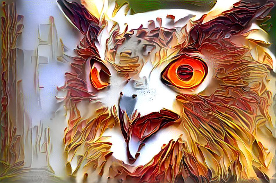 Owl