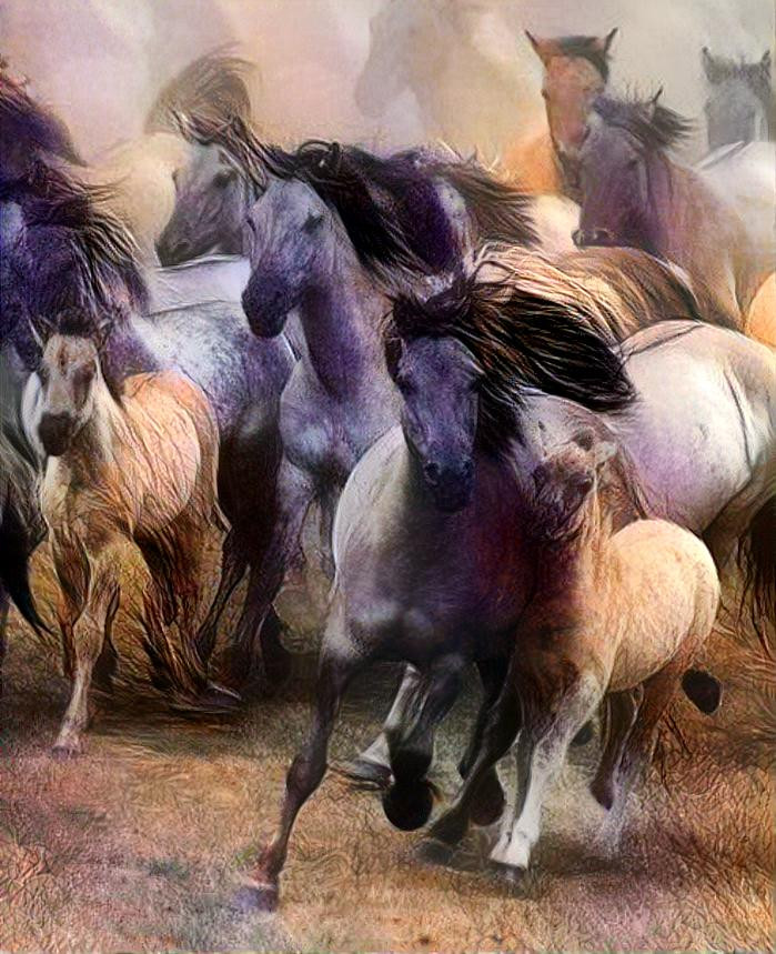 Wild Horses