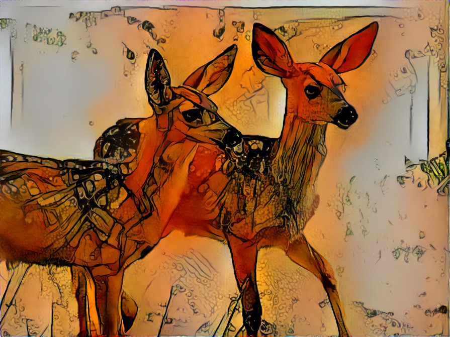 Twin fawns