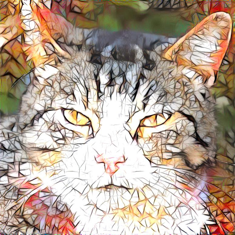 Style: Picture by geralt (Pixabay) ; Photo: StyleGAN2 generated cat