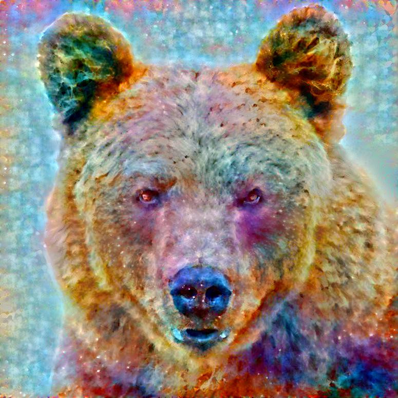 Cosmic Bear