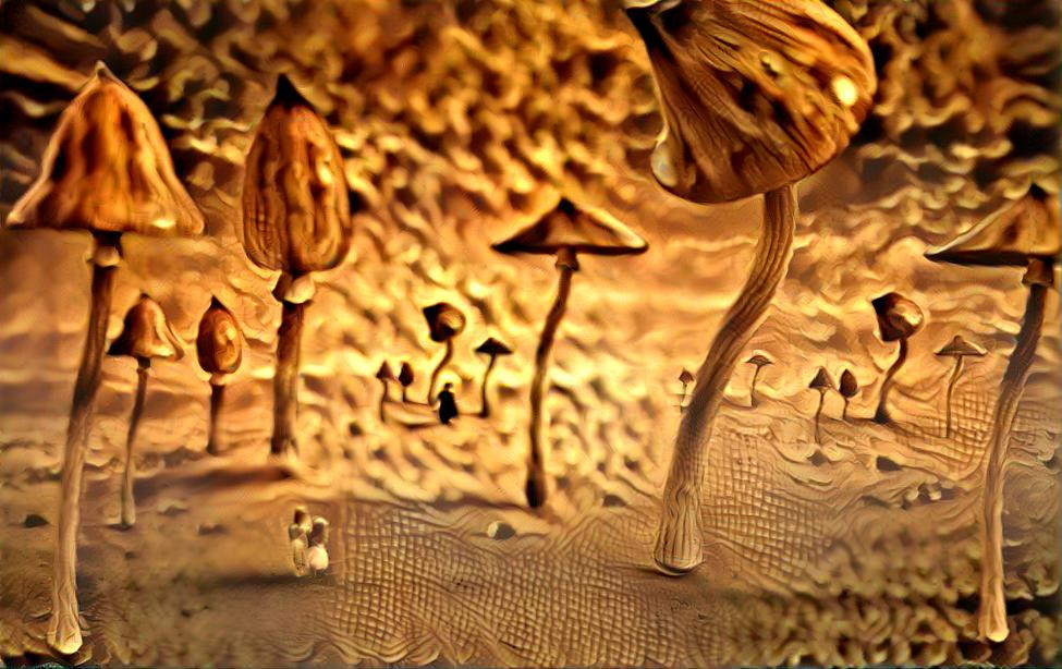 Dreamy Mushrooms