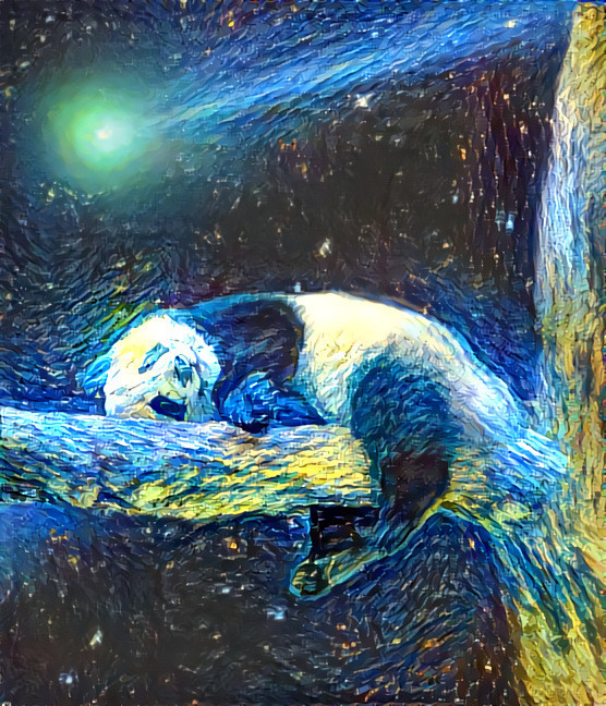 Sleeping With The Stars