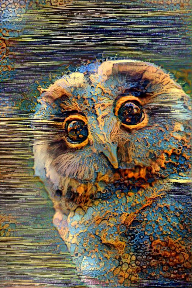 Owl