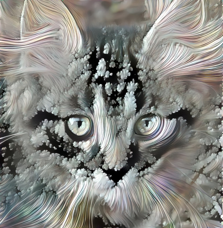 Chaton fractal