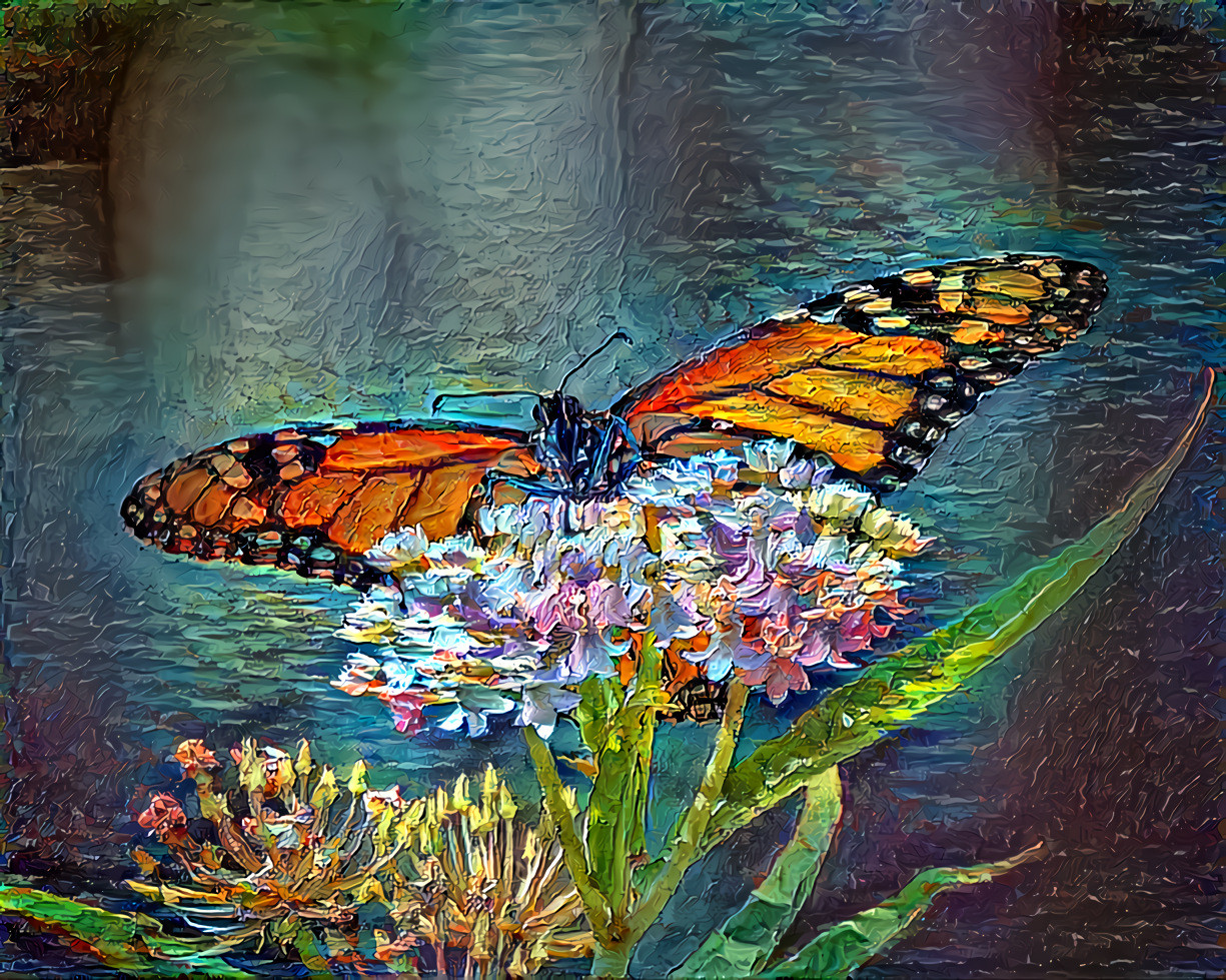 A Monarch Butterfly