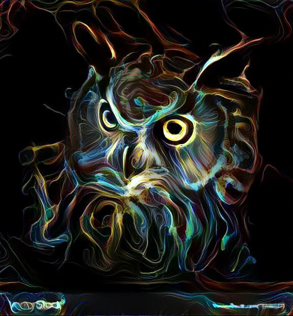 neon owl