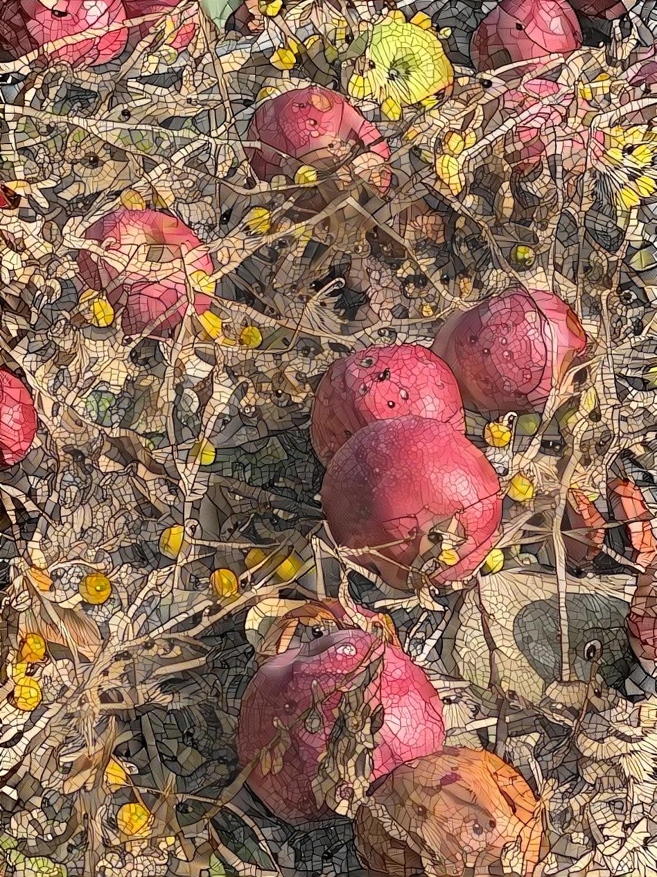 Fallen Apples