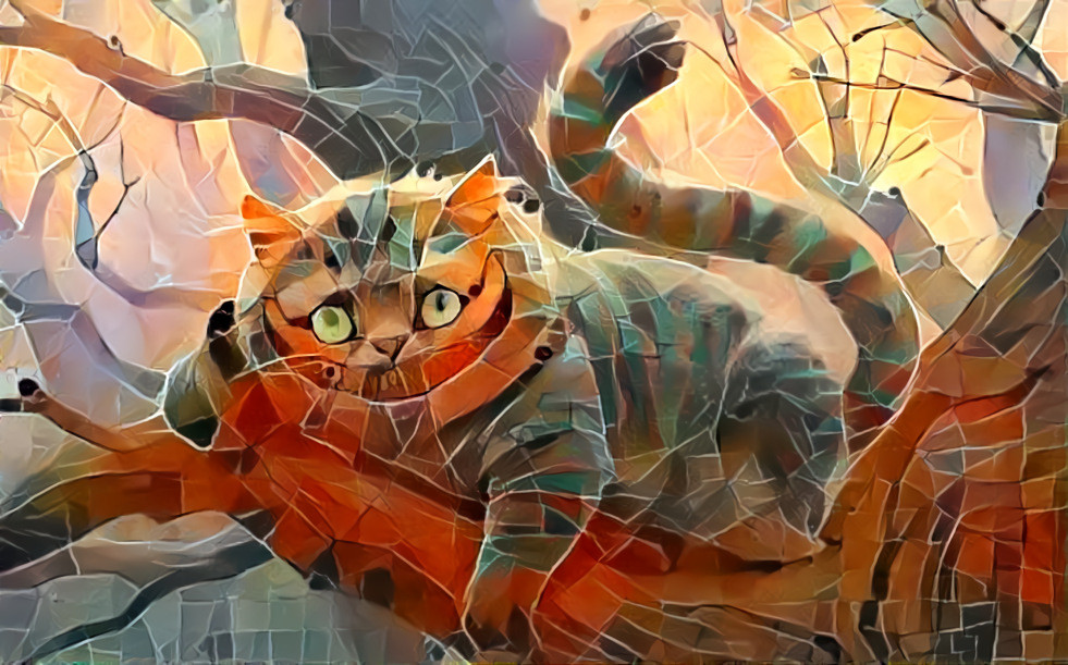 Alice's Dreamy Cat