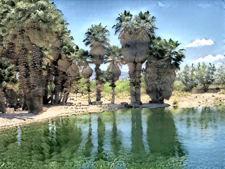 Agua Caliente in Tucson