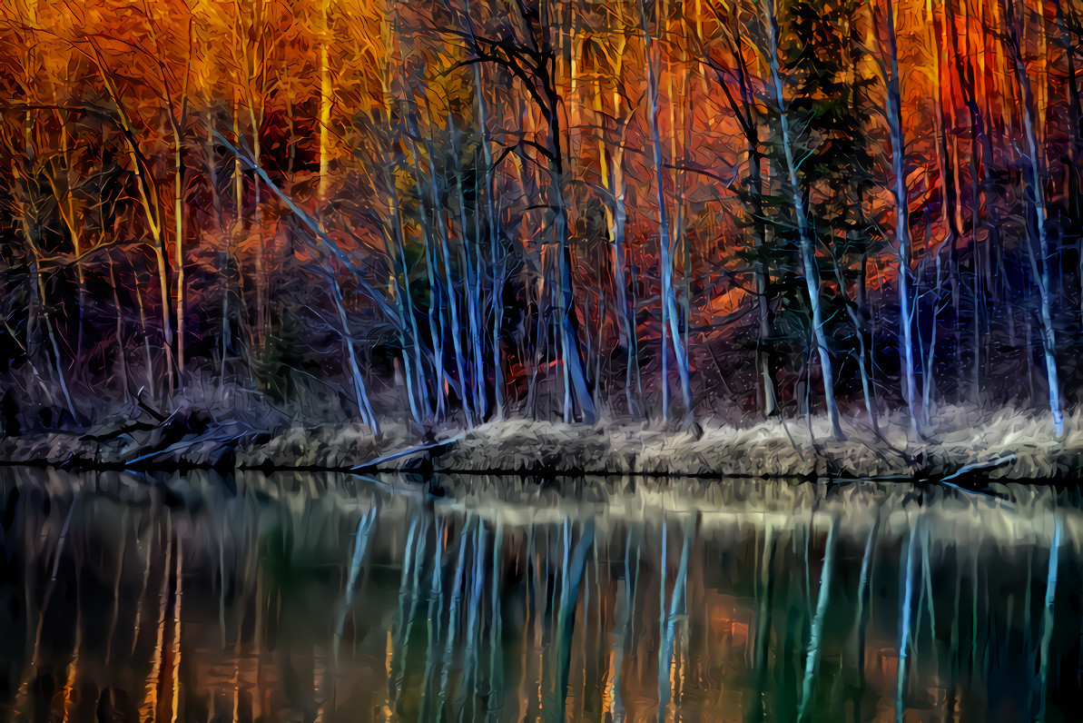 Winter Forest and River