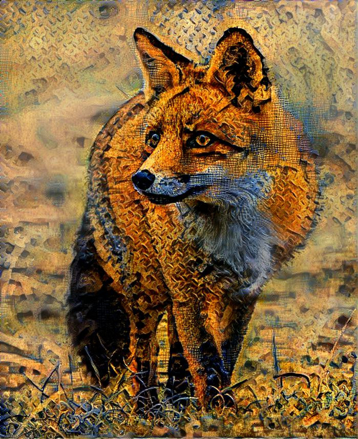 Red Fox