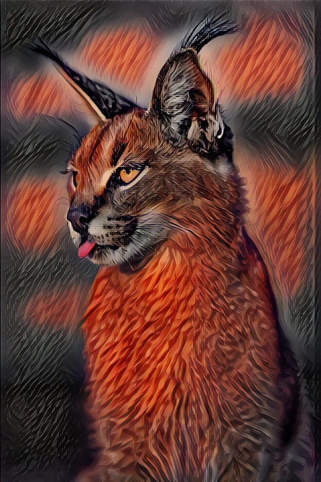 Caracal 3