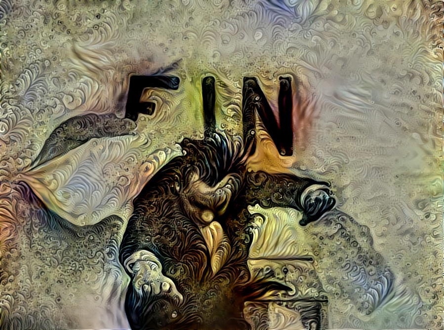 FIN