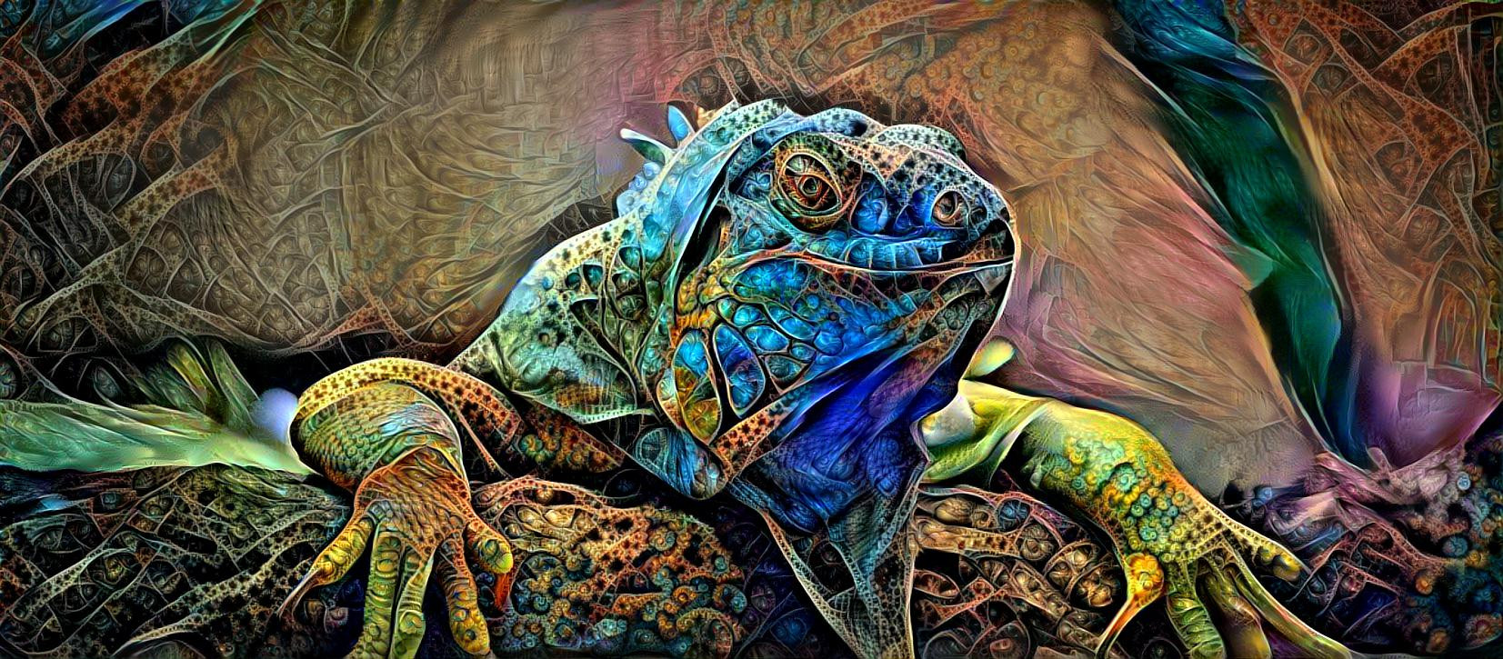 Iguana 