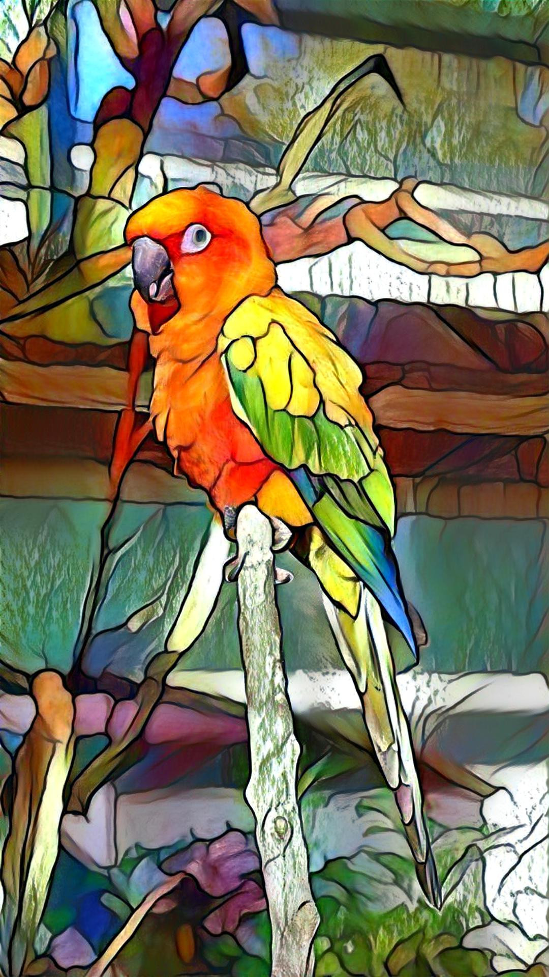 Parrot