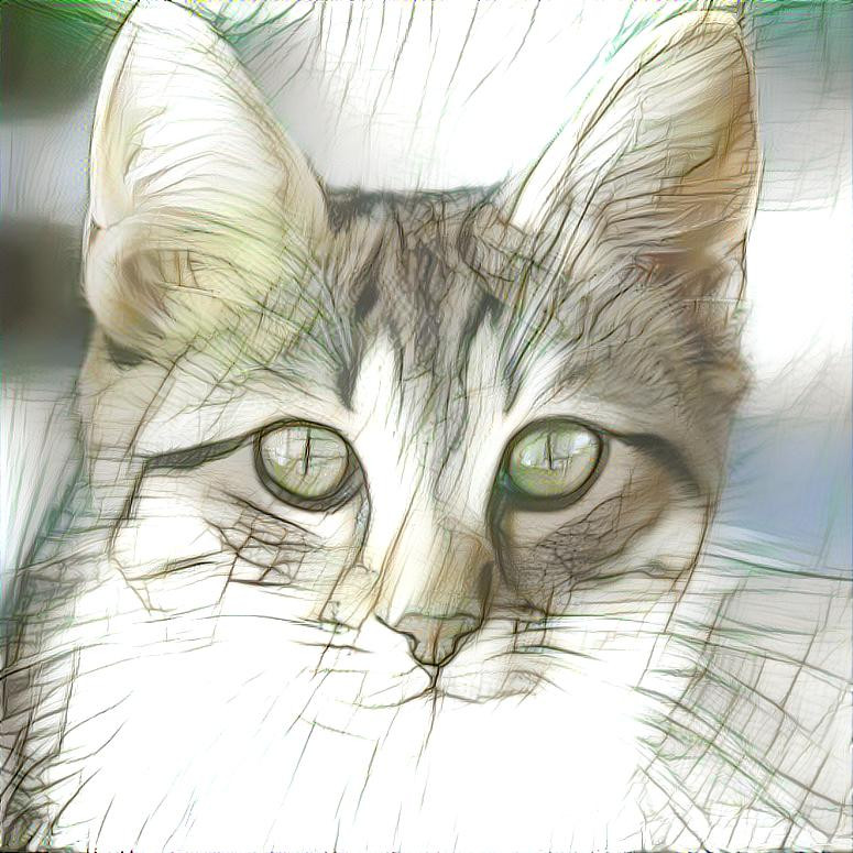 Style: Picture by geralt (Pixabay) ; Photo: StyleGAN2 generated cat