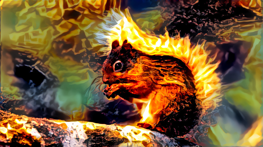 Fire squirrel