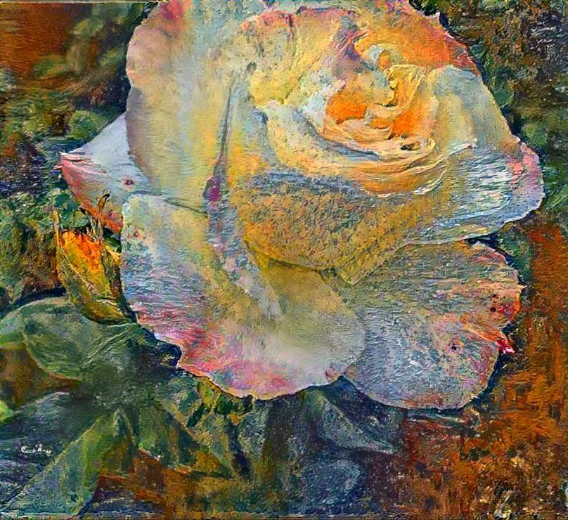 Rose painting