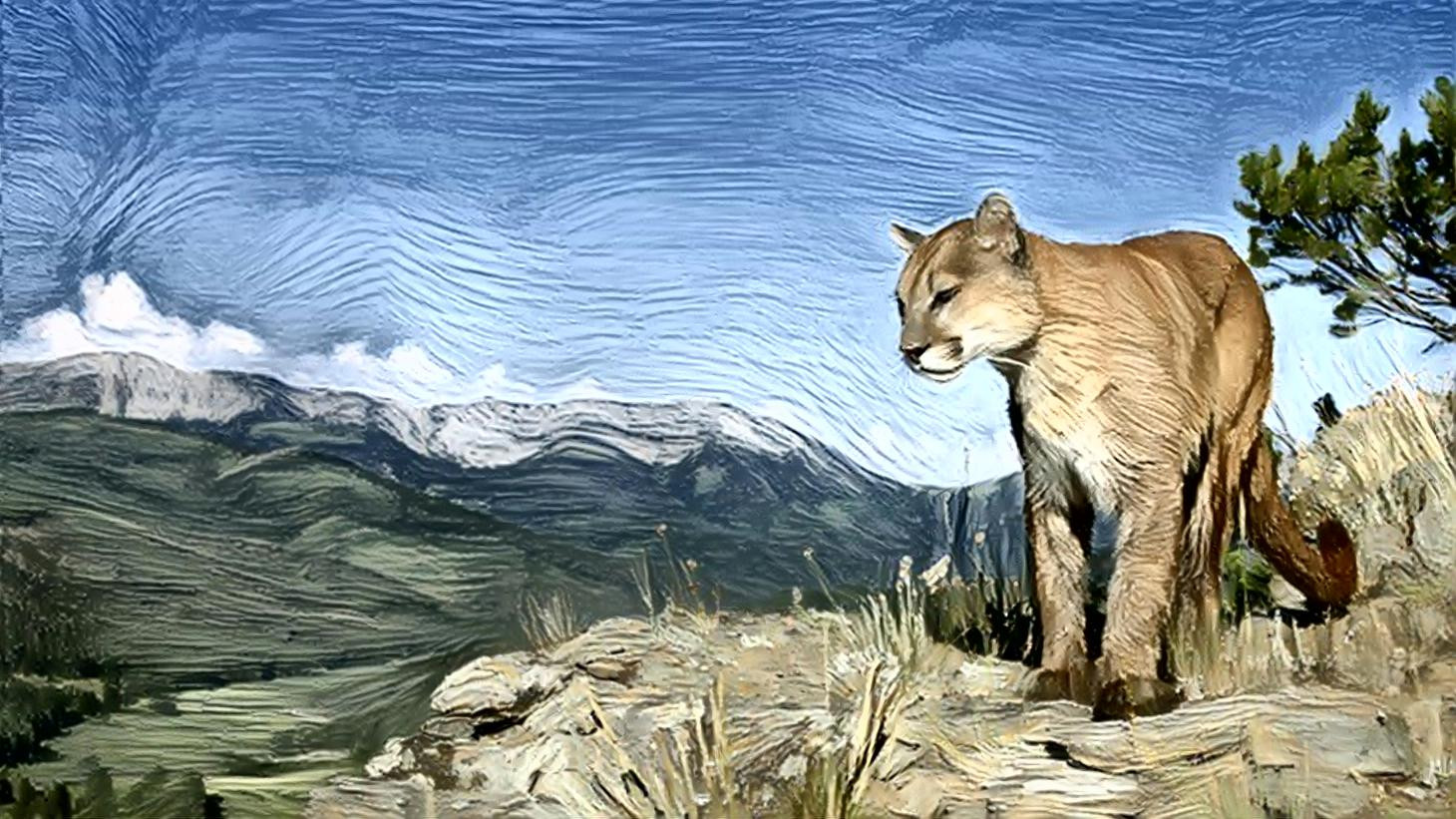 Painted Puma