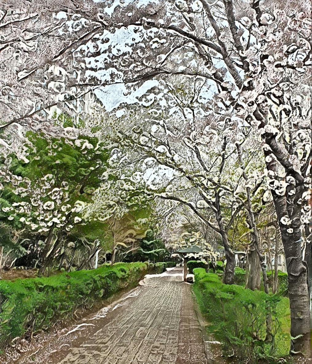 Road of flower between buildings