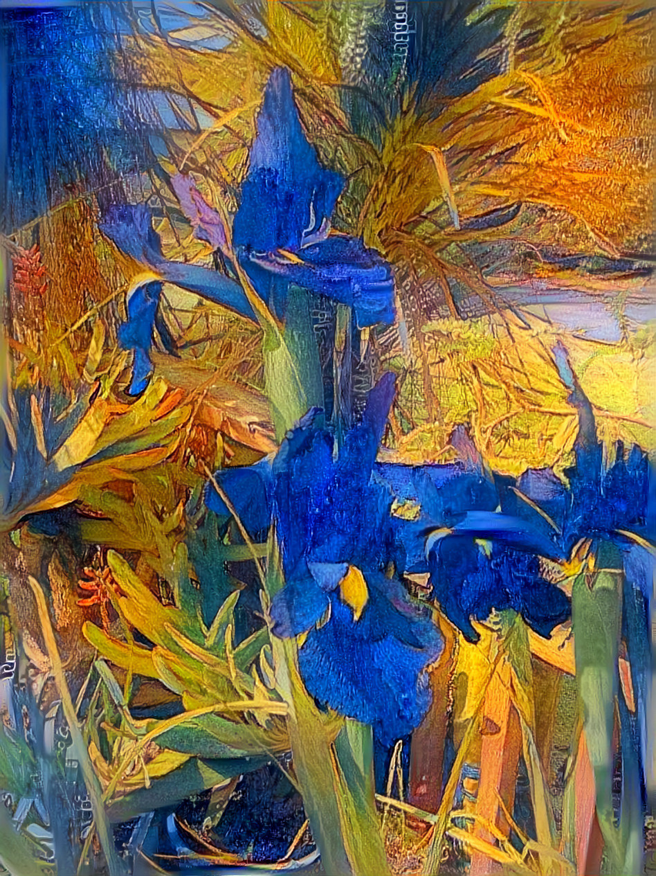 Irises