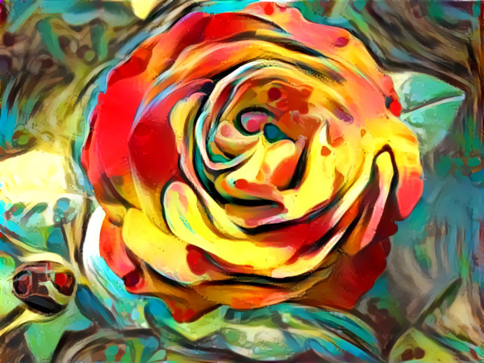 Rose