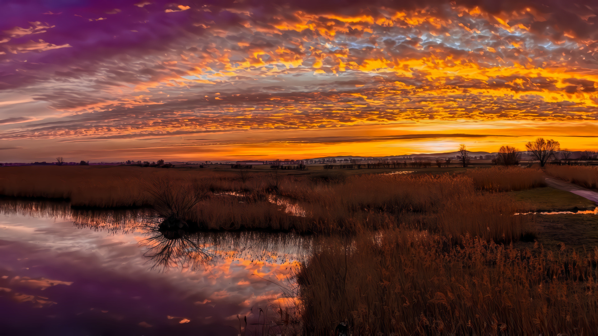 Sunset in the Marsh