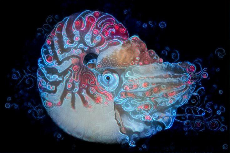 Sprite Nautilus