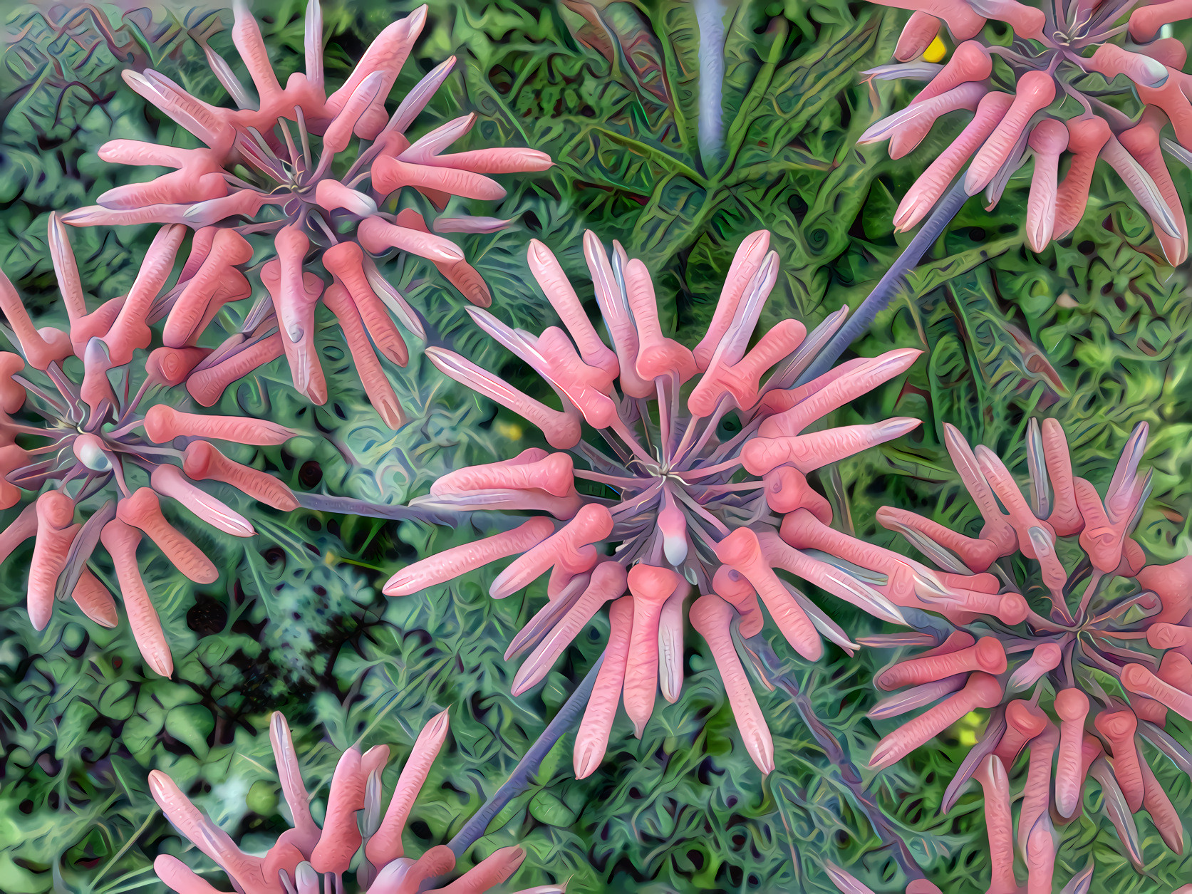 Aloe Flowers Pink and Lavender