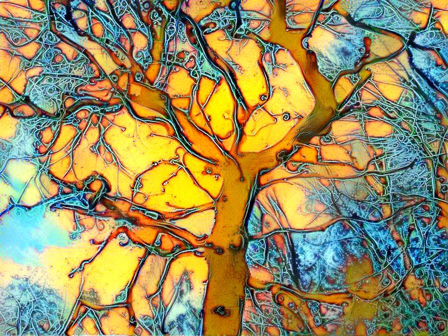 fire & ice tree