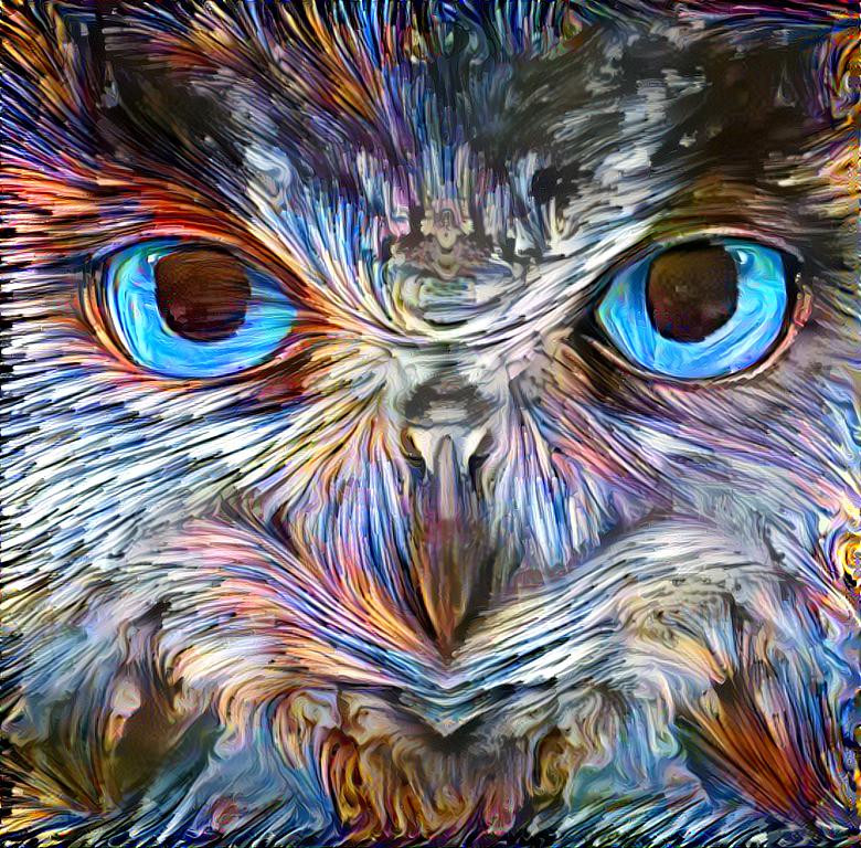 owl