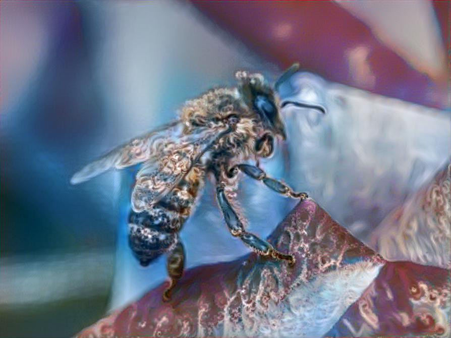 Bee On The Rose