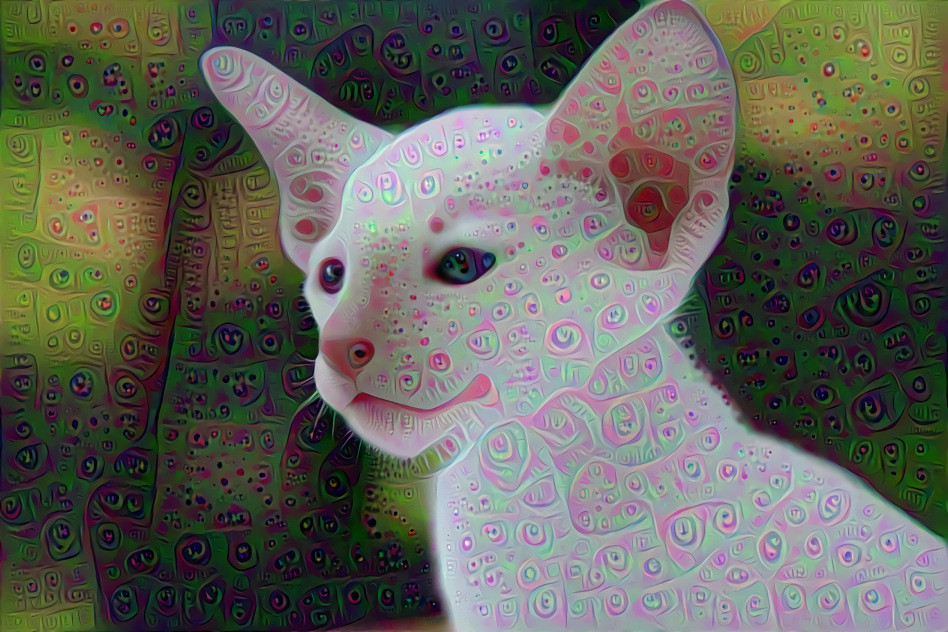 UniCat 2 - SharonleeGoodhand