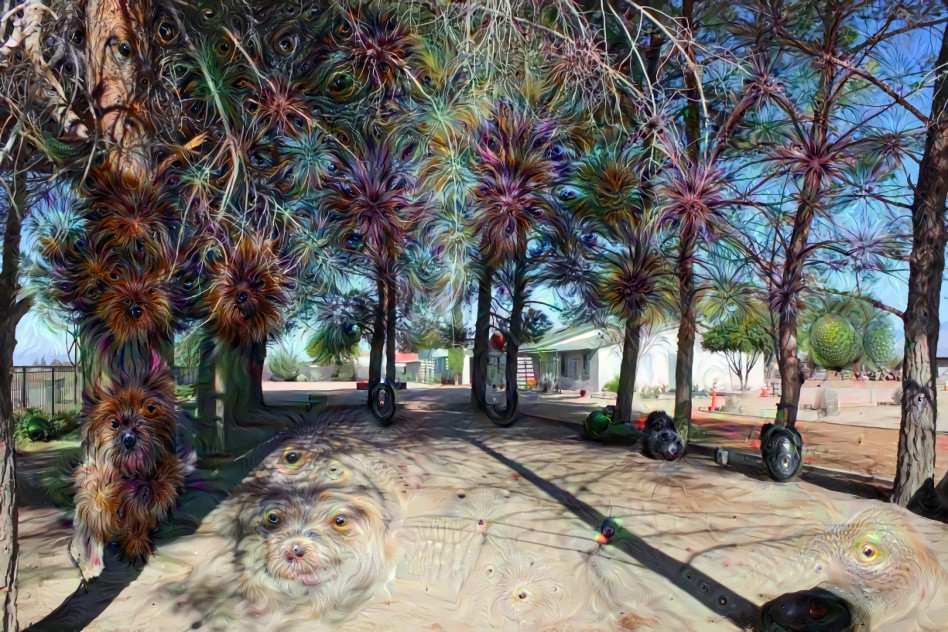 'Dog Tree Grove'