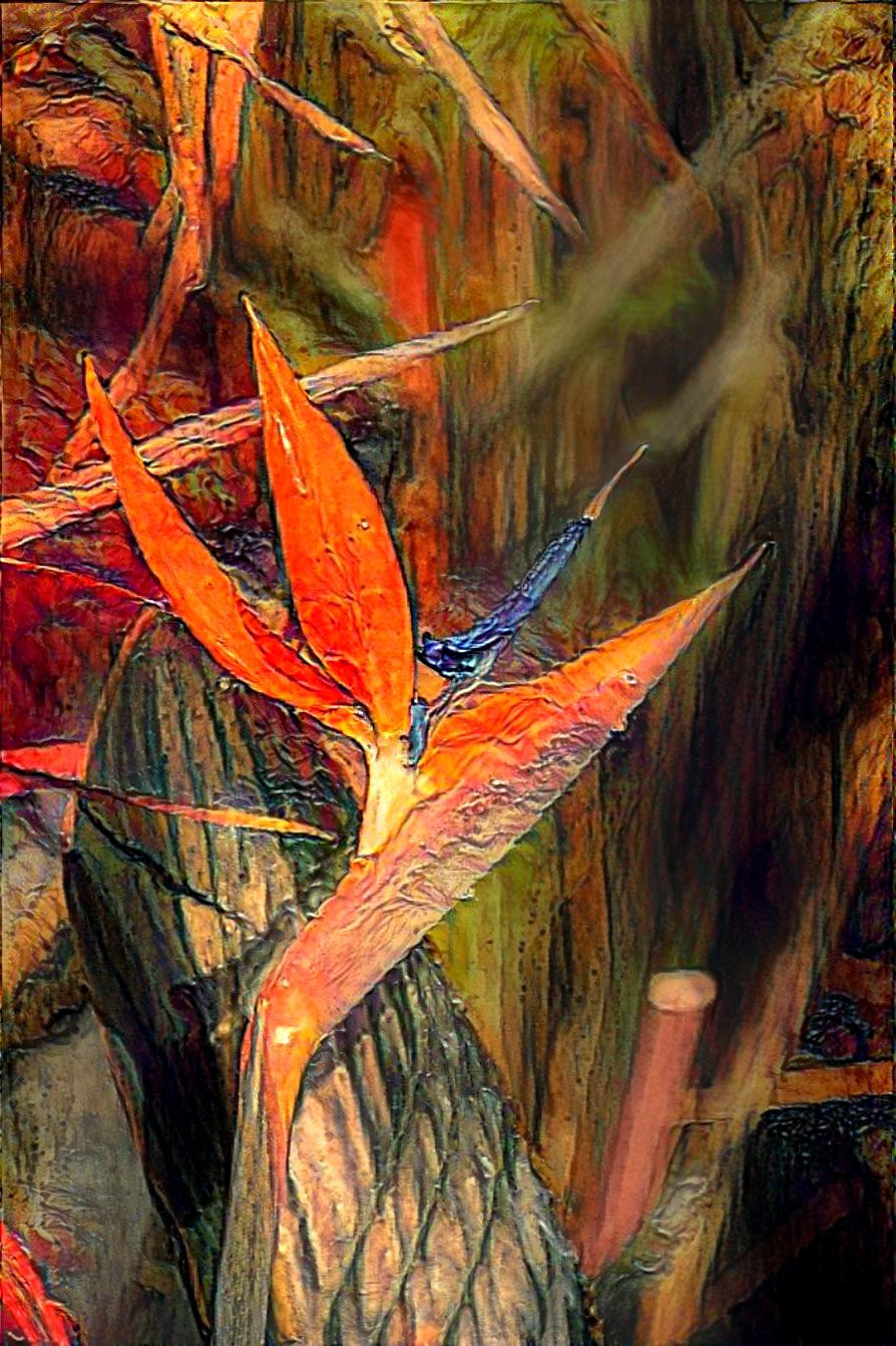 Bird of Paradise 