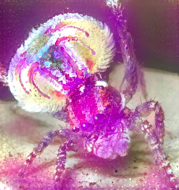 Rave Spider!!!